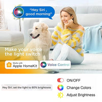 Apple Homekit APP USB 5050 RGB LED Lights Strip Dimmable Siri Voice Smart Control Light TV LED BackLights For Indoor lighting